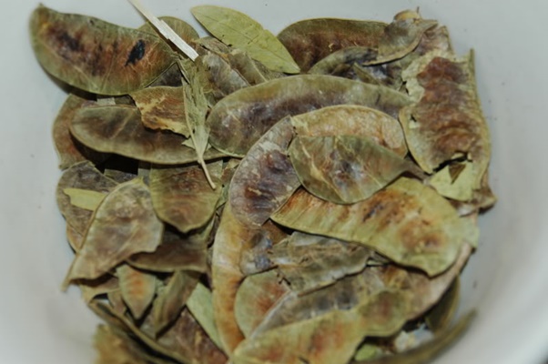 Chá de sene
